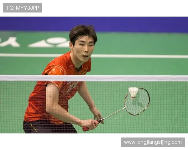 武汉羽毛球队在世锦赛积分榜上以65分稳居第一名展现强大实力